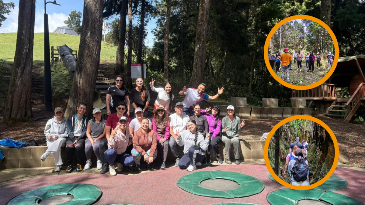 Caminata_ecol__gica.png