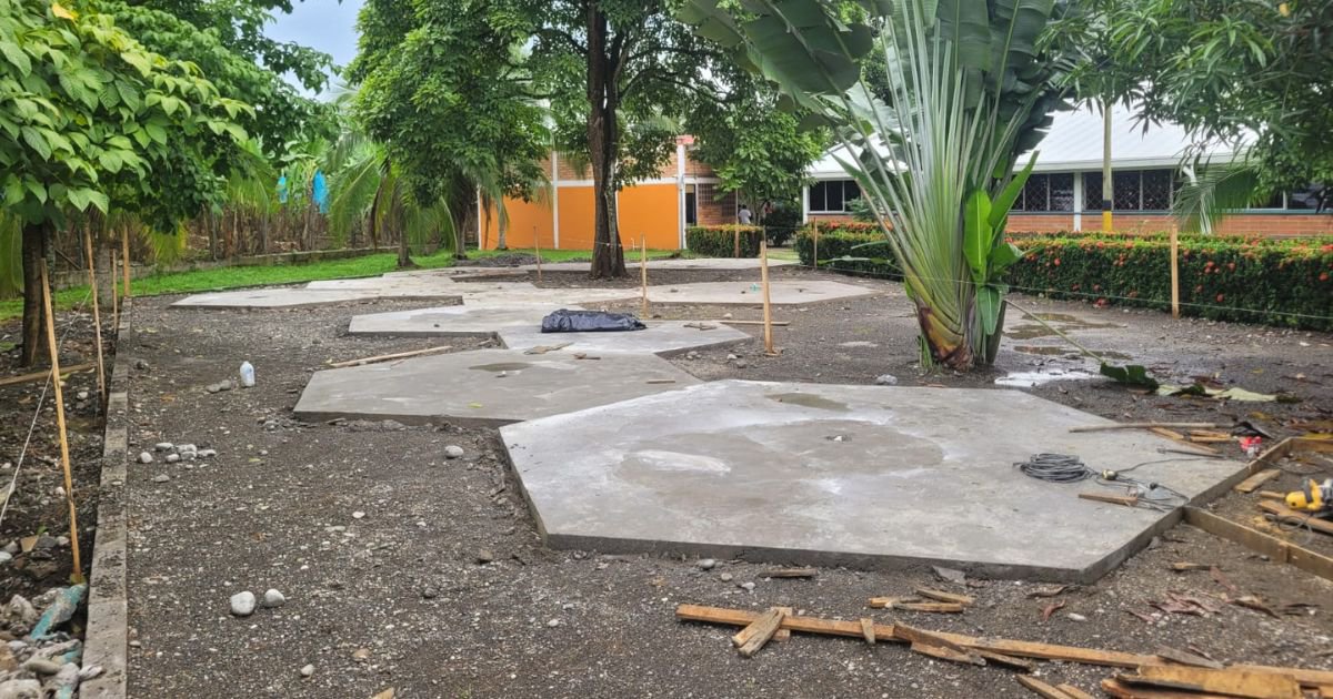 Imagen 6