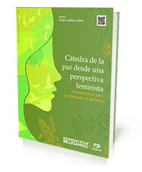 Cátedra de la paz desde una perspectiva feminista. Herramientas para un pregrado en derecho