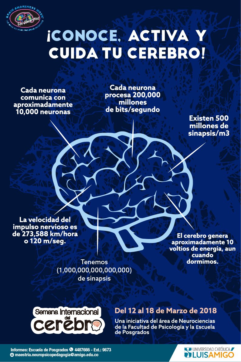 cerebro_01.jpg