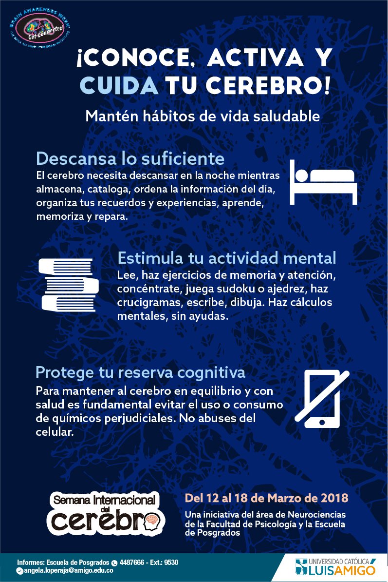 cerebro_07.jpg
