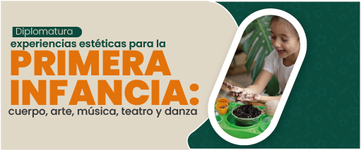  Diplomatura experiencias estéticas
